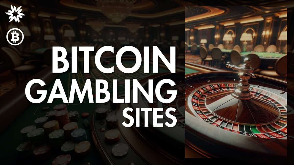 Best Crypto and Bitcoin Gambling Sites Online – July 2024