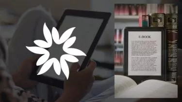 Everything You Need to Know About Stuff Your Kindle Day 2025