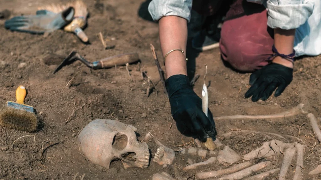 Brazil’s Ancient Discovery: Artifacts and Skeletons Reshape History