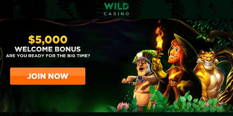 wild casino