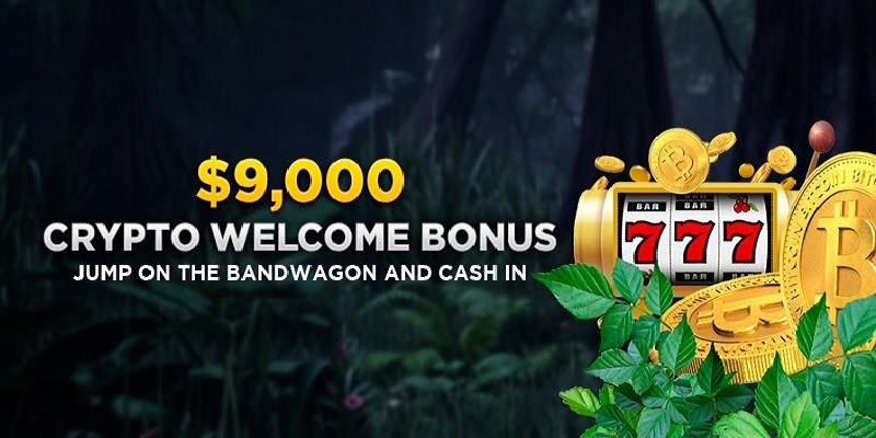 wild casino bonus