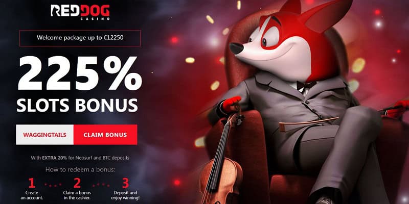 Best no-deposit casino bonuses – December 2023